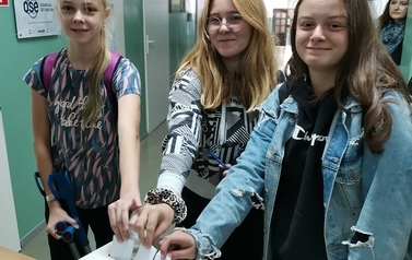 wybory